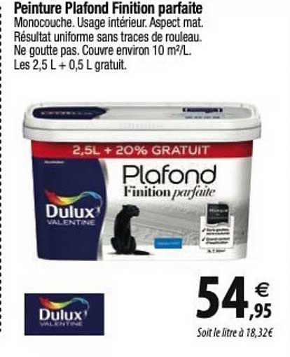 peinture plafond finition parfaite dulux valentine