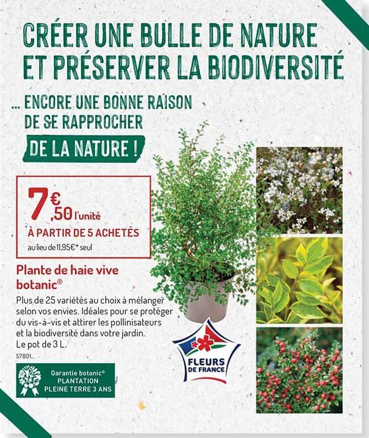 plante de haie vice botanic
