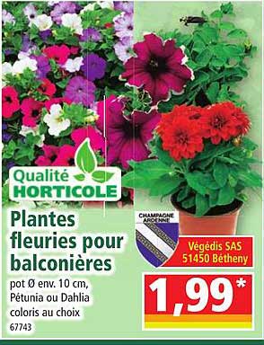 plantes fleuries pour balconnières