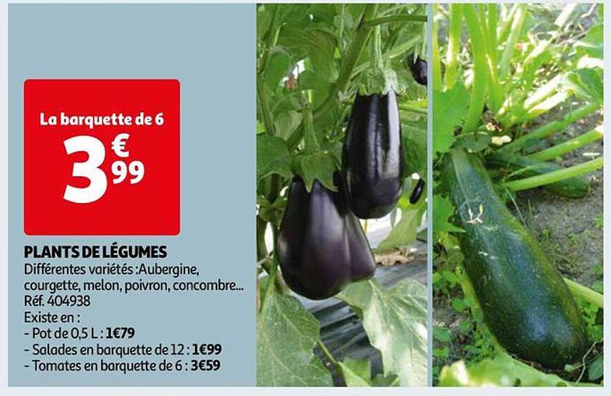 plants de légumes