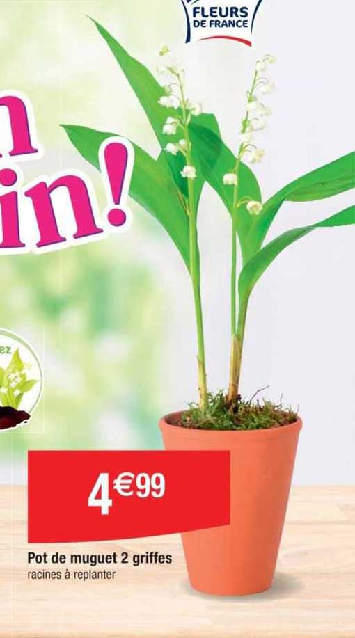 pot de muguet 2 griffes