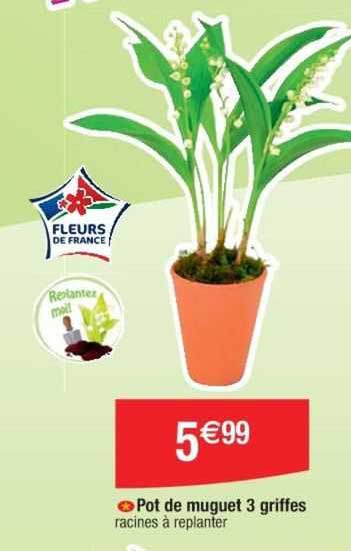 pot de muguet 3 griffes