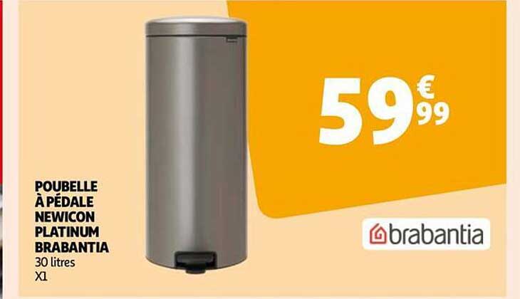 poubelle à pédale newicon platinum brabantia