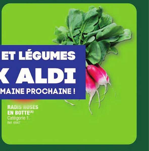 Radis Roses En Botte