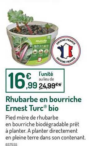 rhubarbe en bourriche ernest turc bio