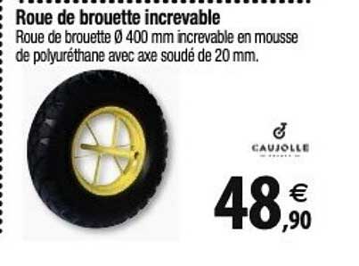 Roue De Brouette Increvable Caujolle