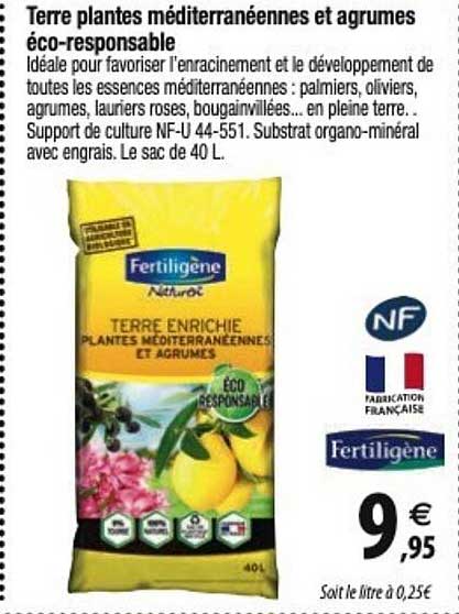 terra plantes méditerranéennes et agrumes éco-responsable