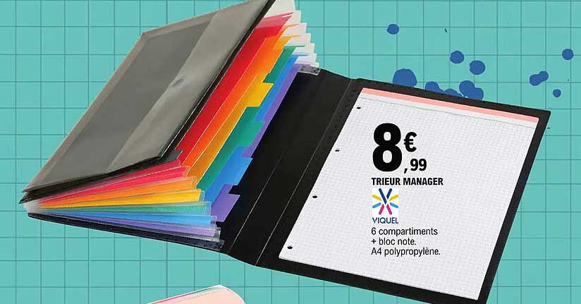 trieur manager viquel