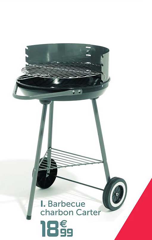 barbecue charbon carter