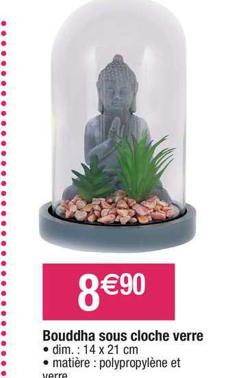 bouddha sous cloche verre
