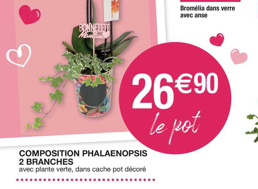 bromélia dans verre avec anse