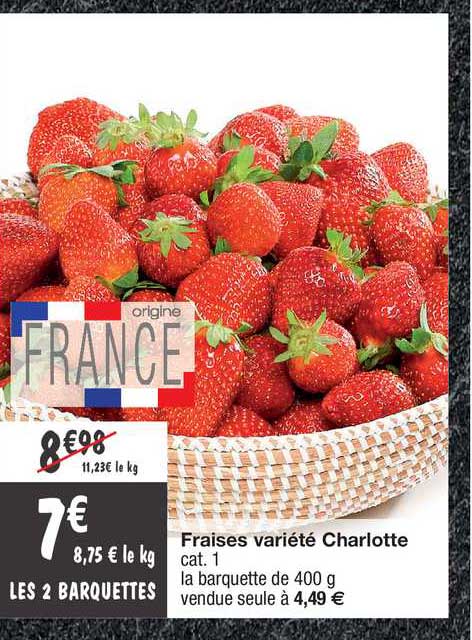 fraises variété charlotte