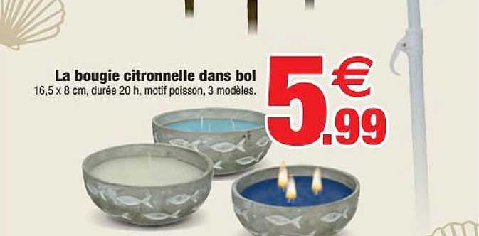 la bougie citronnelle dans bol