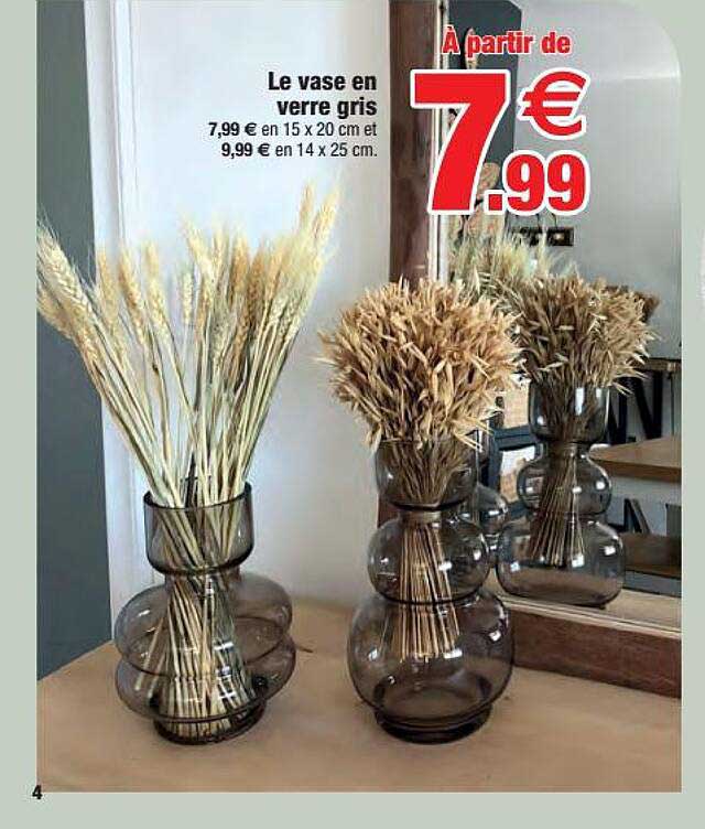 Le Vase En Verre Gris