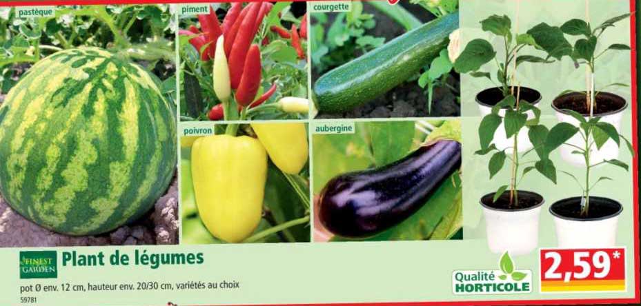 plant de légumes finest garden