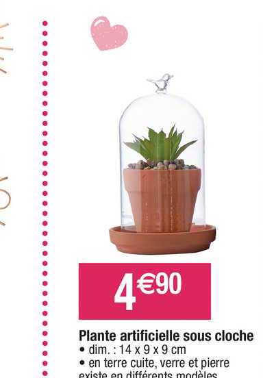 plante artificielle sous cloche
