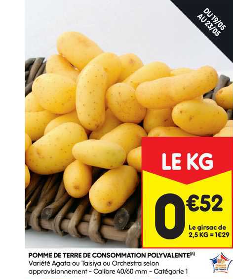 pomme de terre de consommation polyvalente