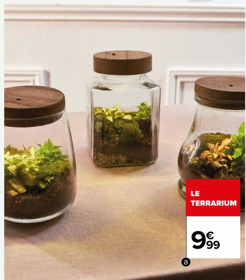 Le Terrarium