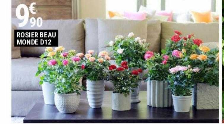 rosier beau monde d12