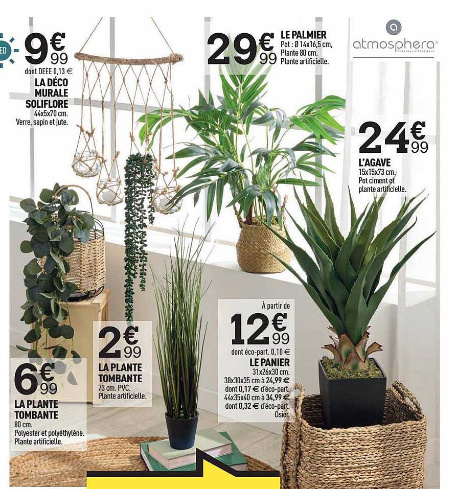 la déco murale soliflore, la plante tombante, la plante tombante, le panier, le palmier, l'agave