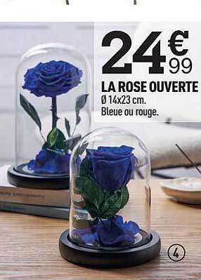 La Rose Ouverte