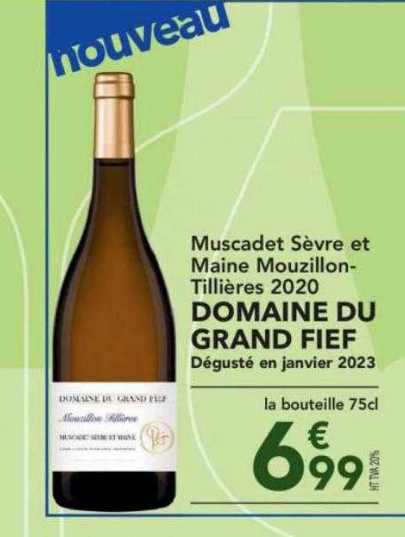 muscadet sèvre et maine mouzillon-tillières 2020 domaine du grand fief