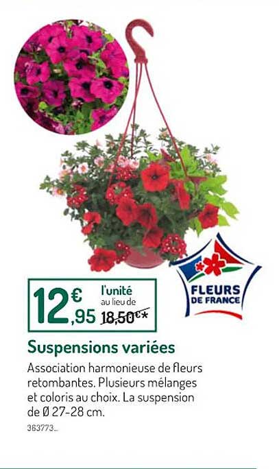 suspensions variées