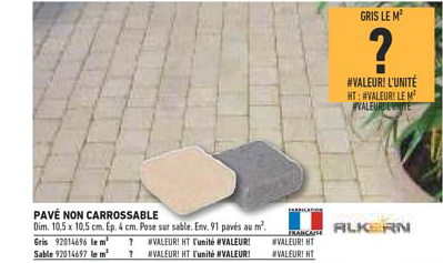 pavé non carrossable