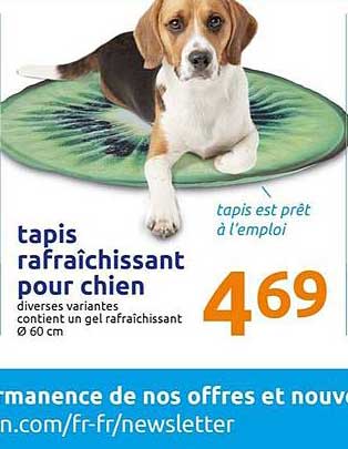 Tapis Rafraîchissant Pour Chien