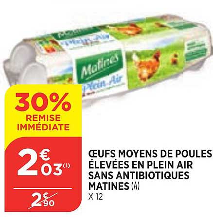 oeufs moyens de poules élevées en plein air sans antibiotiques matines