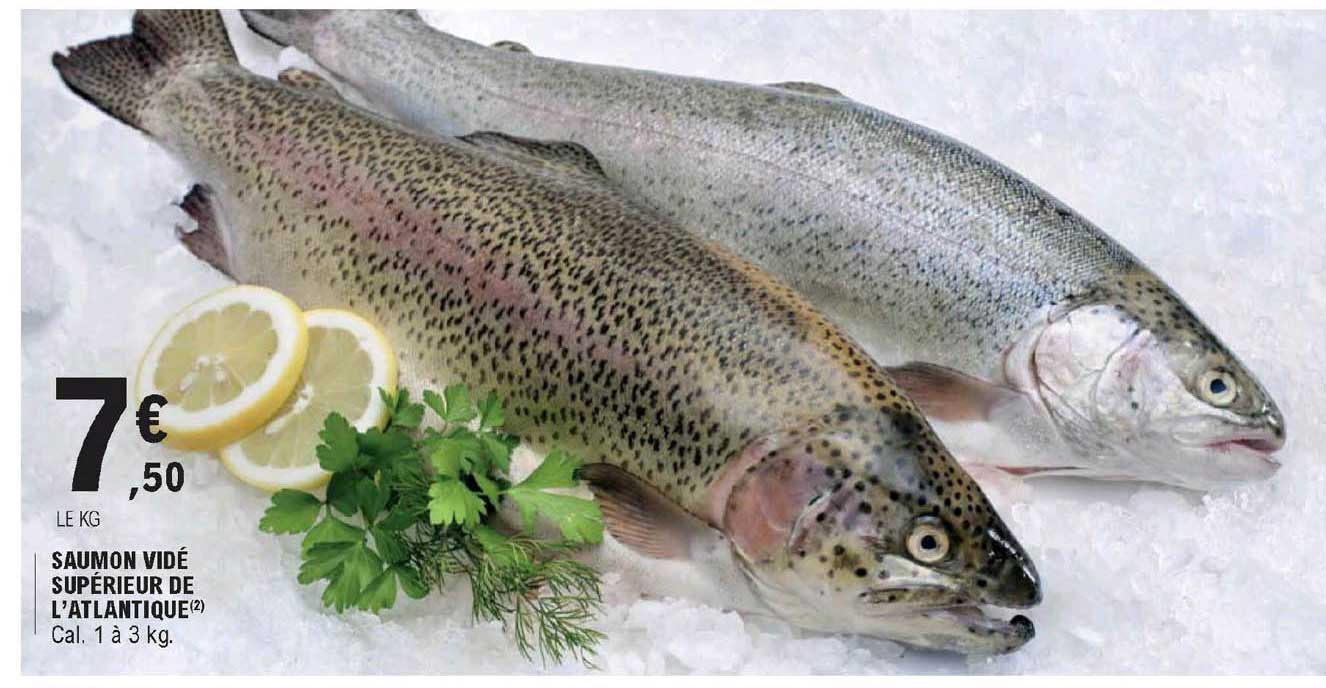 saumon vidé supérieur de l'atlantique