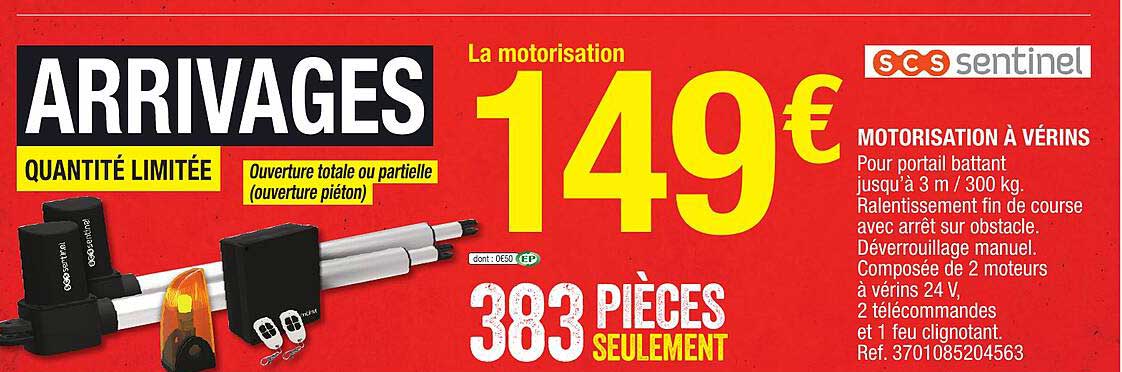 Motorisation à Vérins Scs Sentinel
