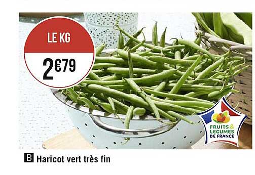haricot vert très fin
