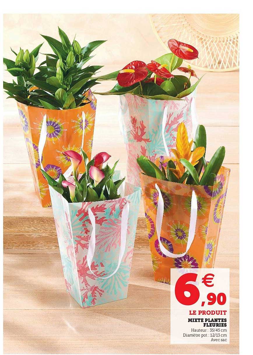 mixte plantes fleuries