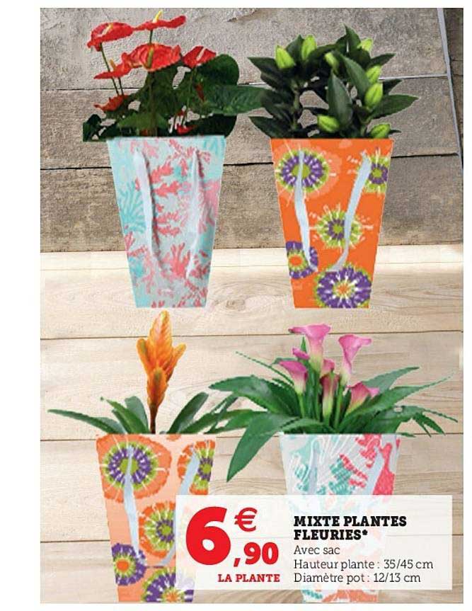 mixte plantes fleuries