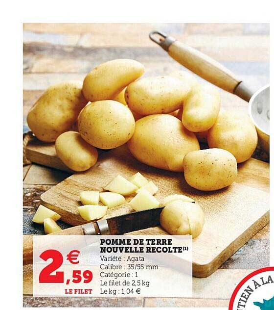 pomme de terre nouvelle récolte