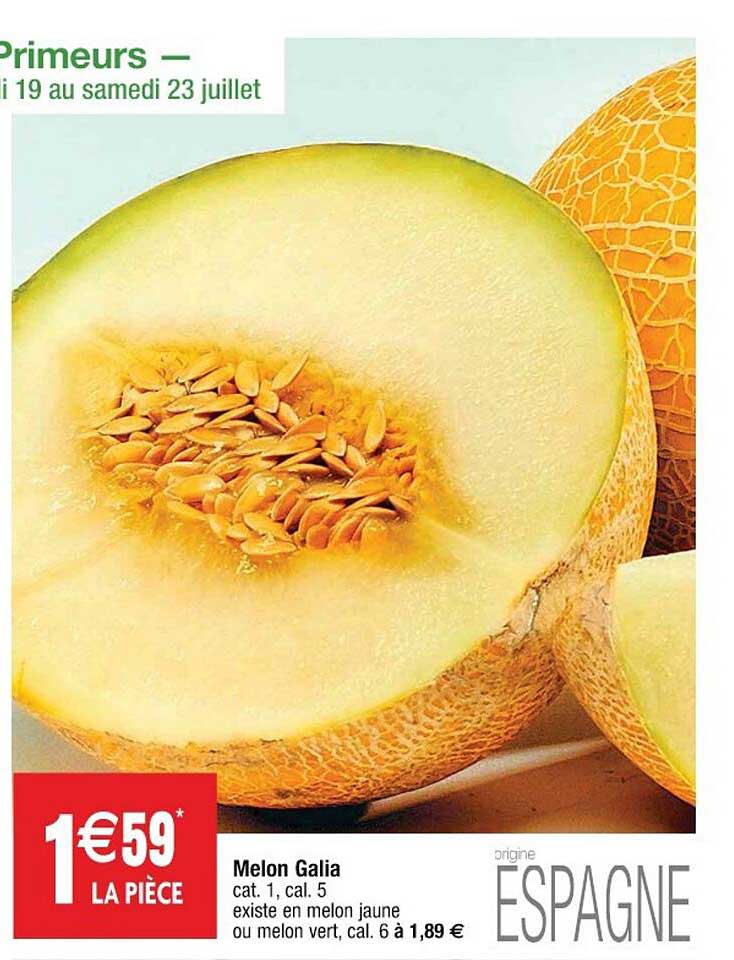 Melon Galia