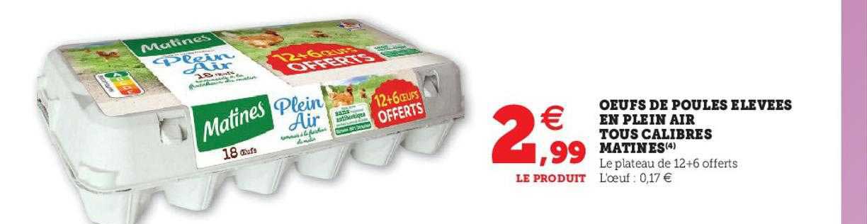 oeufs de poules élevées en plein air tous calibres matines