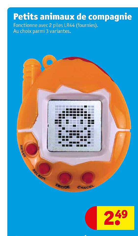 Petits Animaux De Compagnie