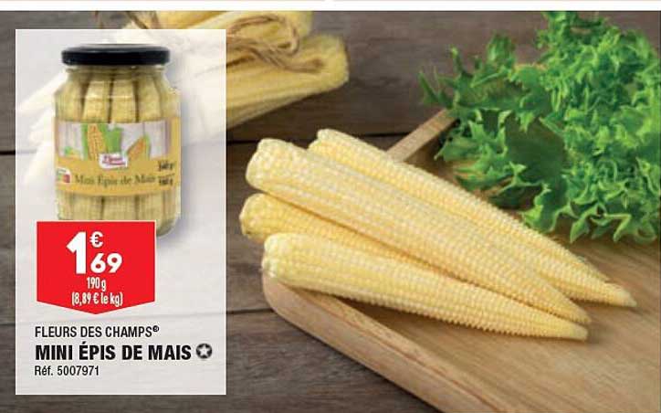 Fleurs Des Champs Mini épris De Mais