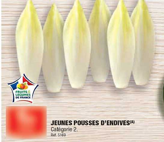 jeunes pousses d'endives