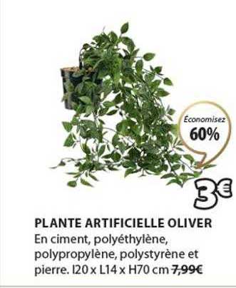 Plante Artificielle Oliver