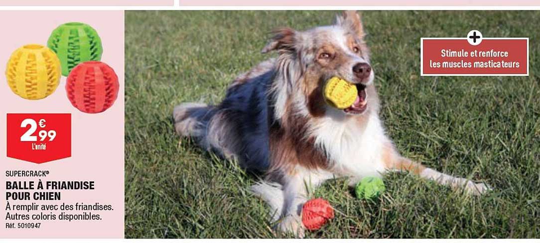 Supercrack Balle à Friandise Pour Chien