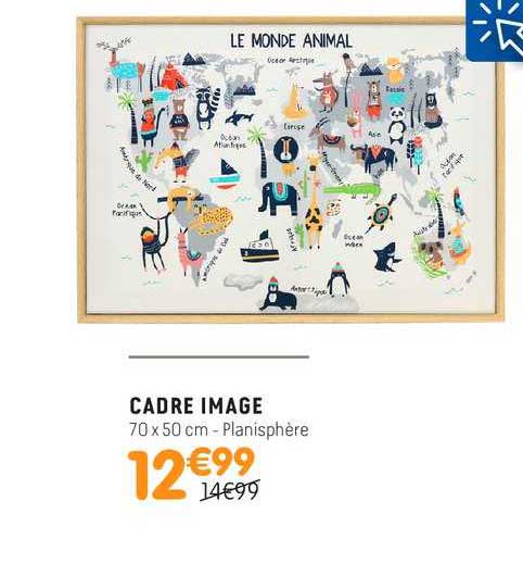 cadre image planisphère