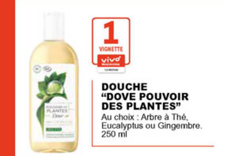 douche dove pouvoir des plantes