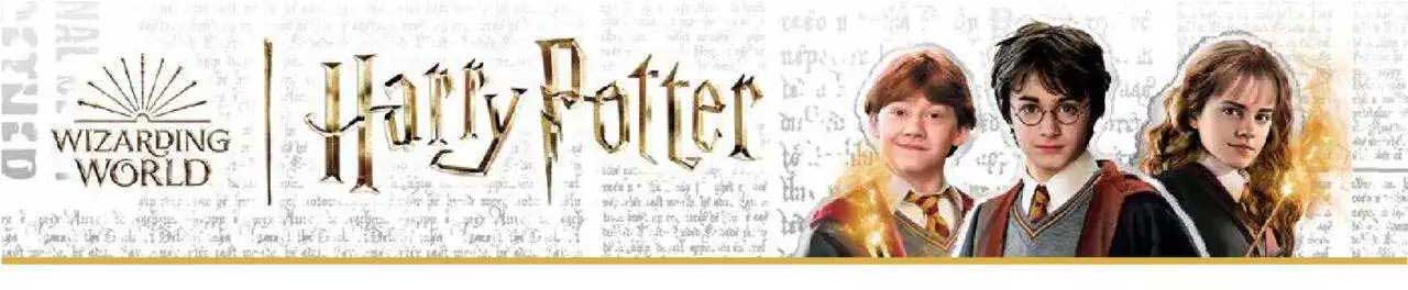 harrypotter wizarding world