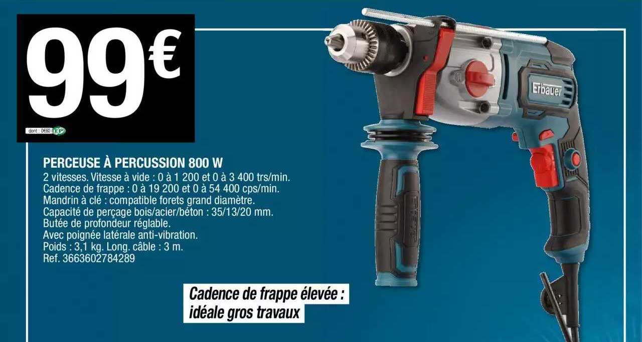 Perceuse à Percussion 800w