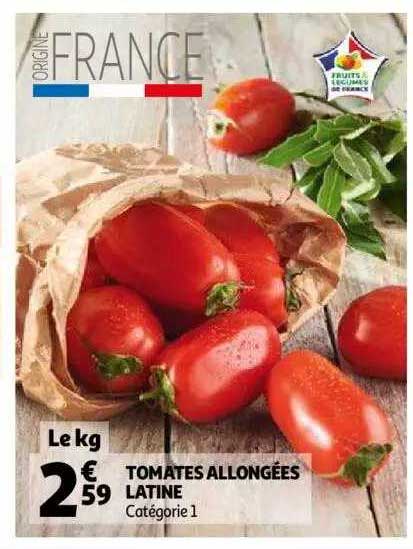 tomates allongées latine