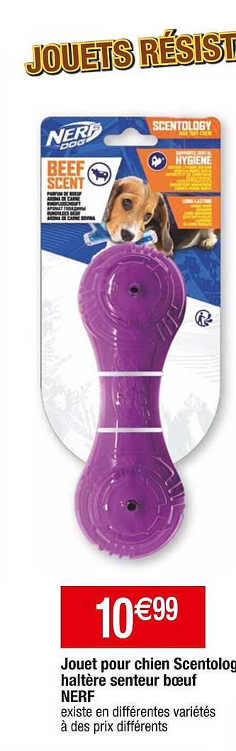 jouet pour chien scentologie haltère senteur bœuf nerf