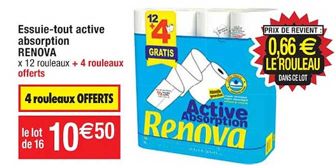 essuie-tout active absorption renova
